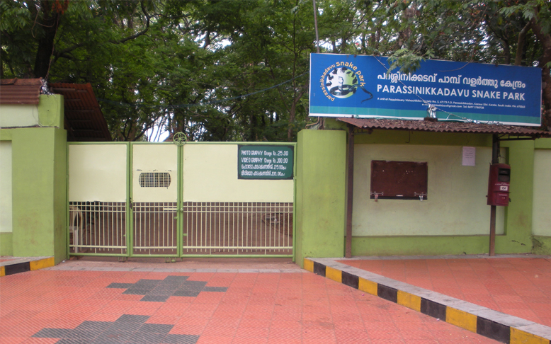 Parassinikkadavu Snake Park